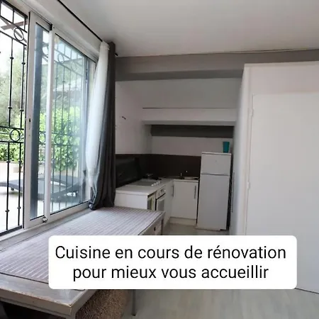 Nid Douillet Vue Les Palmiers
