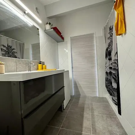 Nid Douillet Vue Les Palmiers Appartement Hyères