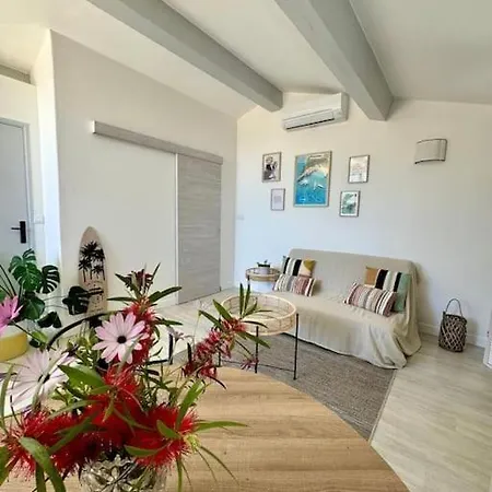 Nid Douillet Vue Les Palmiers Hyeres