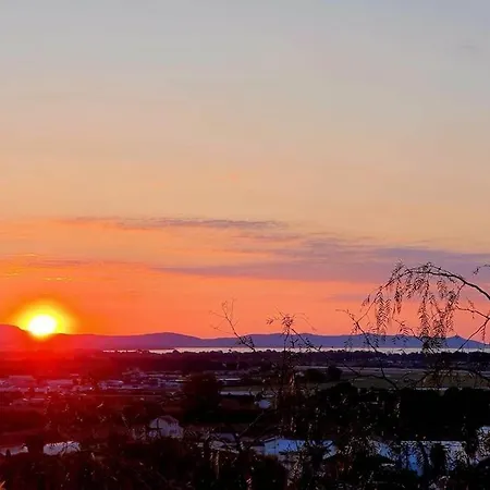 Apartment Nid Douillet Vue Les Palmiers Hyeres