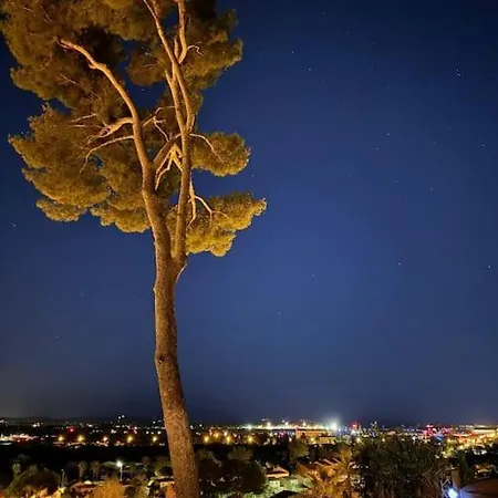 Nid Douillet Vue Les Palmiers Hyeres