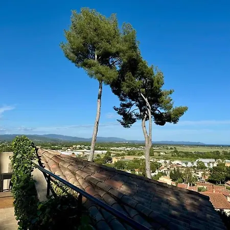 Apartment Nid Douillet Vue Les Palmiers *